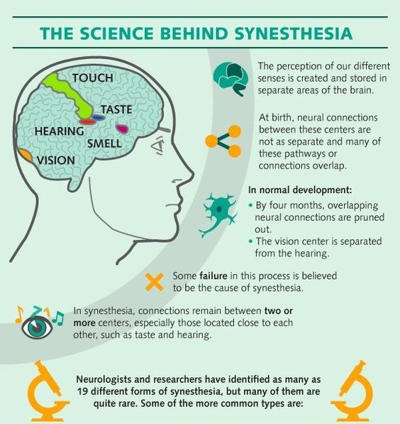 Science of Synesthetes 