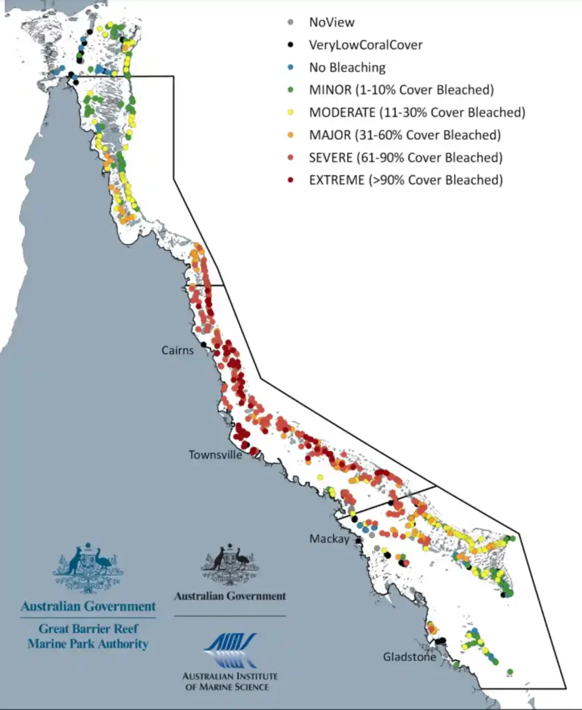 More than 90% of reefs surveyed along the Great Barrier Reef were affected by coral bleaching in 2022.